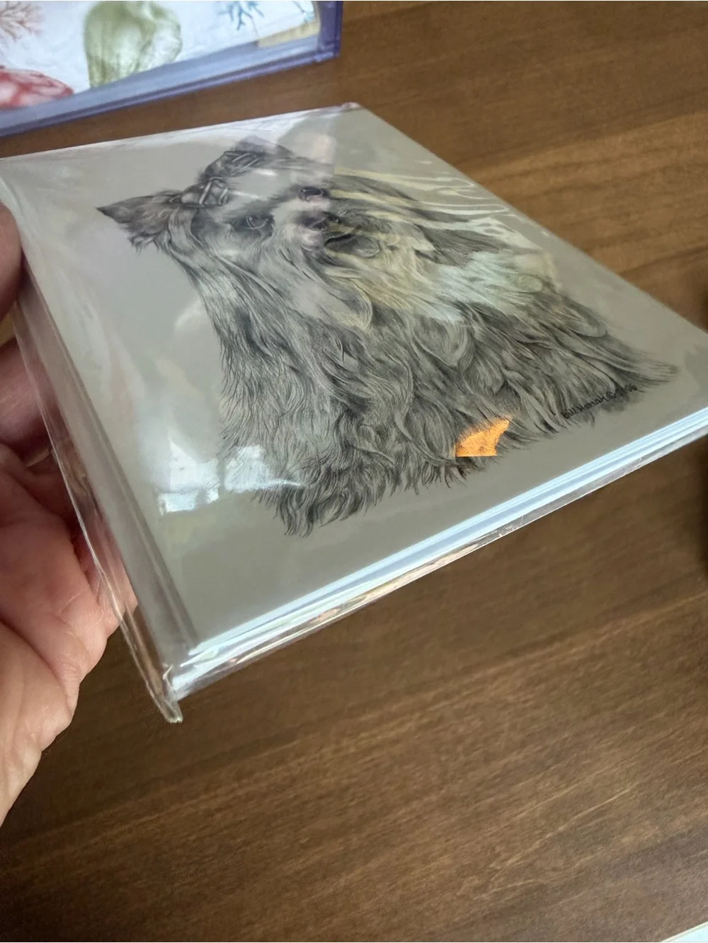 Yorkshire Terrier Dog Note Cards (8) Fine Art Drawing